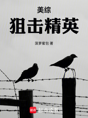 美综:狙击精英