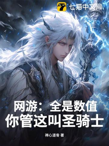 网游：全是数值，你管这叫圣骑士？